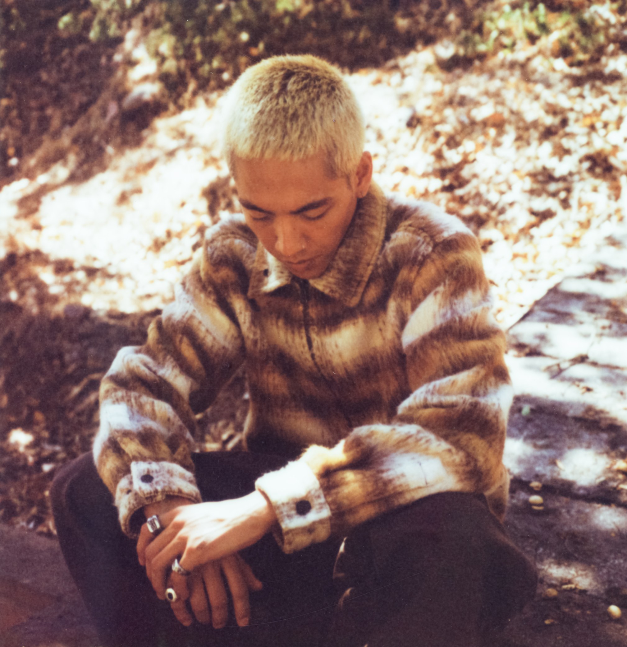 Fall/Winter 2026 Polaroids